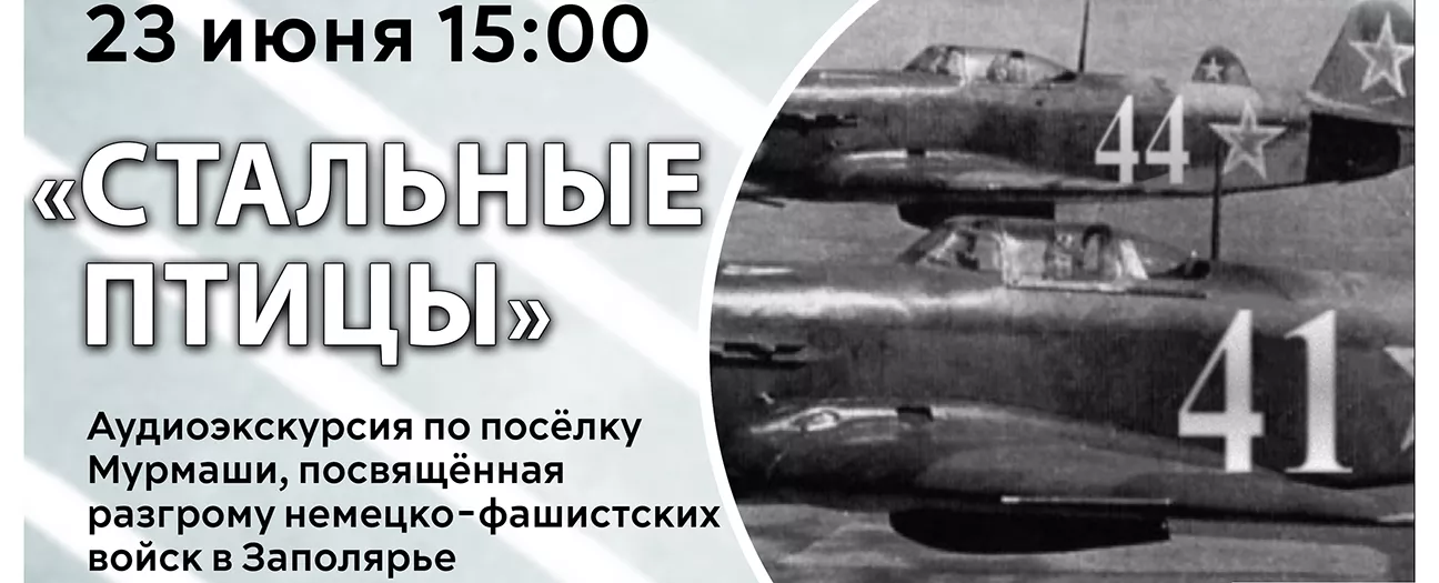 Аудиоэкскурсия «Стальные птицы»