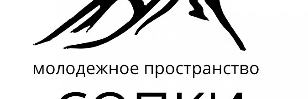 Молодежное пространство "Сопки" Видяево
