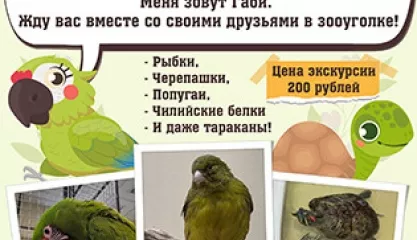 Зооуголок