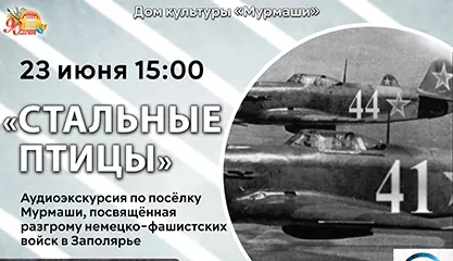 Аудиоэкскурсия «Стальные птицы»