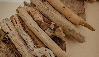 Встреча-знакомство с художником Ильей Байдаком и мастер-класс Создание сувенира из плавника-дерева