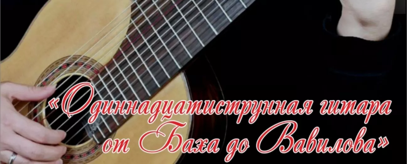 Одиннадцатиструнная гитара